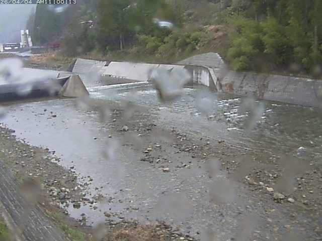 日野川１２2026/04/04 11:40:00