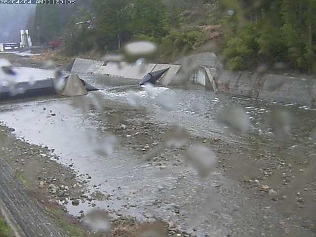 日野川１２2026/04/04 11:40:00