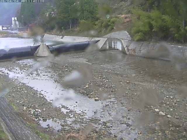 日野川１２2026/04/04 11:40:00