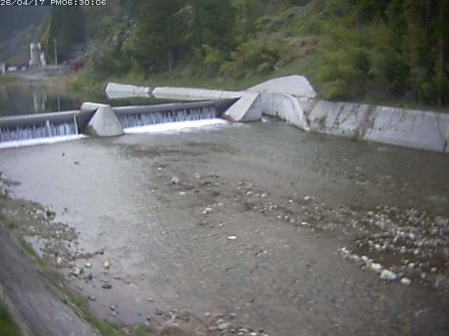 日野川１２2026/04/17 19:10:00