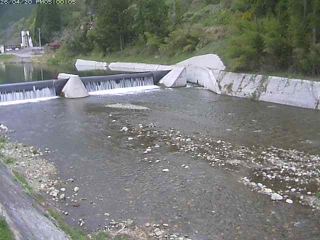 日野川１２2026/04/21 15:50:00