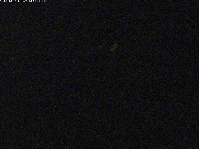 日野川１２2026/04/21 15:50:00