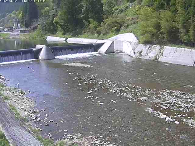 日野川１２2026/04/21 15:50:00