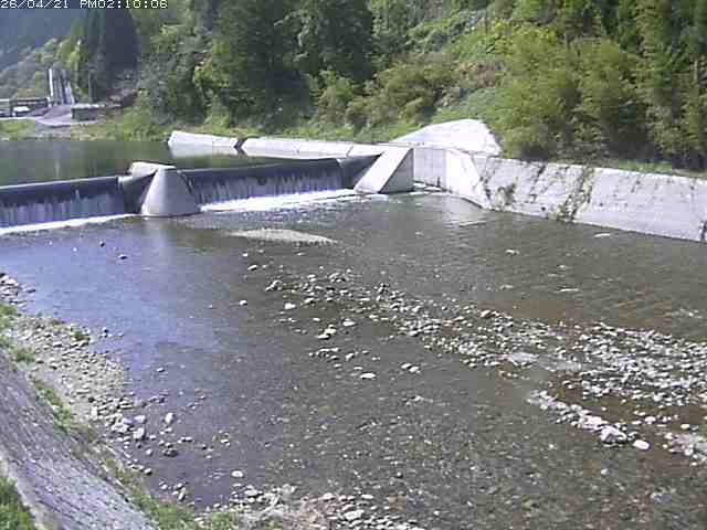 日野川１２2026/04/21 15:50:00