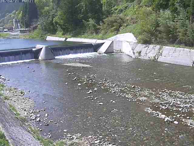 日野川１２2026/04/21 15:50:00