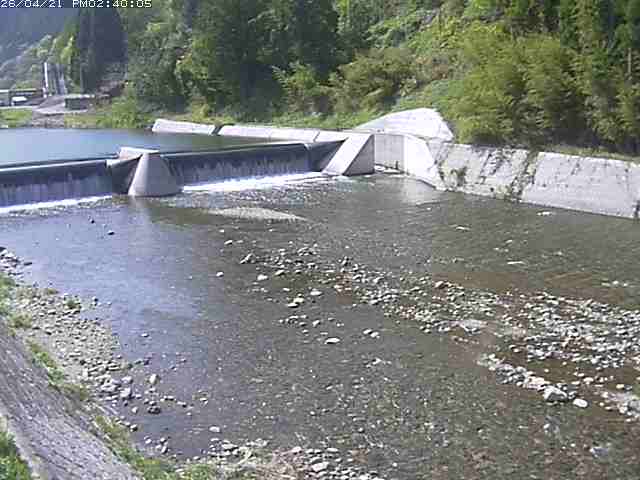 日野川１２2026/04/21 15:50:00