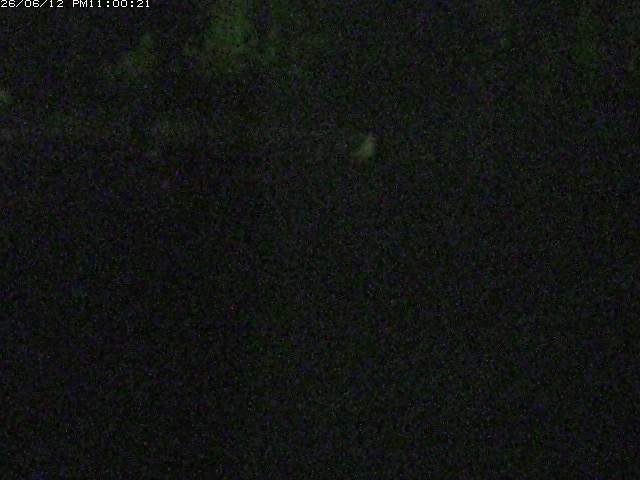 日野川１２2026/06/13 19:20:00