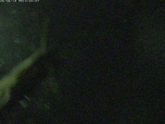 日野川１２2026/06/19 19:30:00