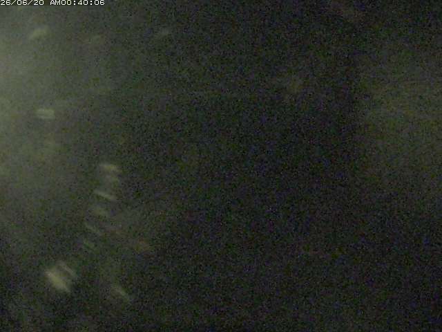 日野川１２2026/06/20 4:00:00