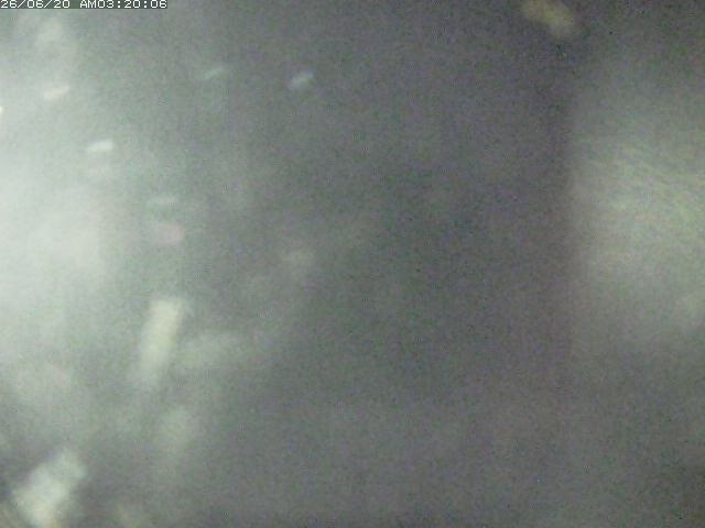 日野川１２2026/06/20 4:00:00