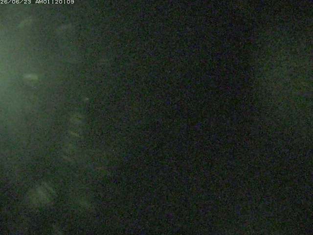 日野川１２2026/06/23 4:10:00