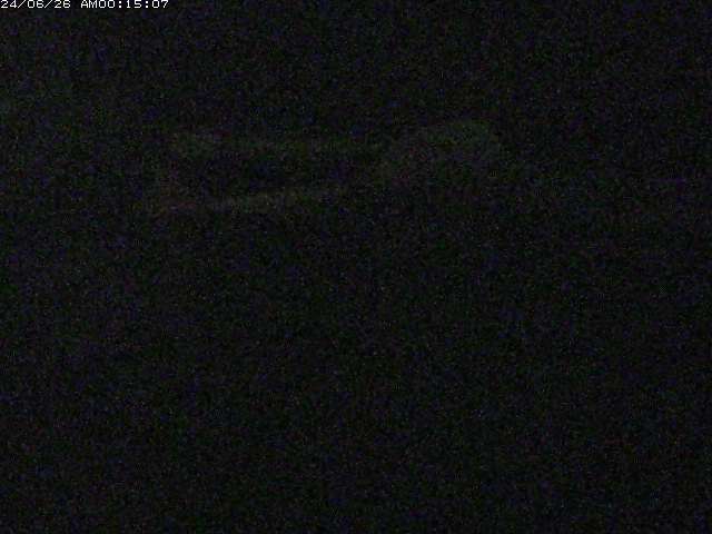 日野川１２2026/06/26 4:00:00
