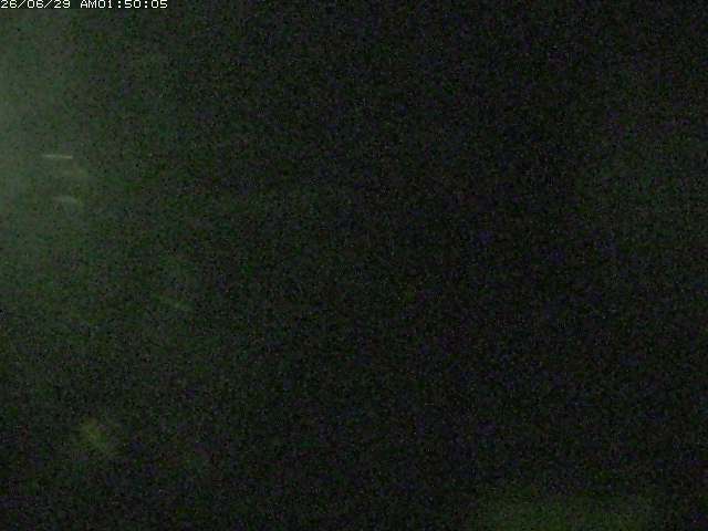日野川１２2026/06/29 4:10:00