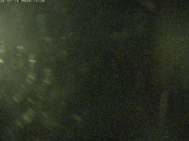 日野川１２2026/07/17 1:00:00