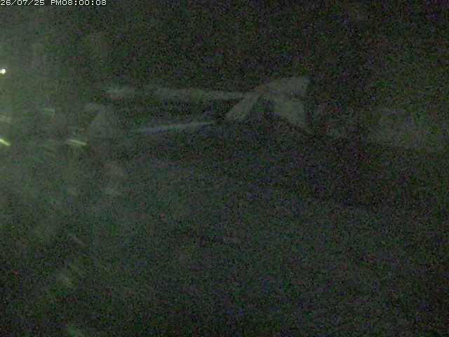 日野川１２2026/07/26 5:00:00