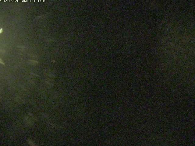 日野川１２2026/07/26 5:00:00