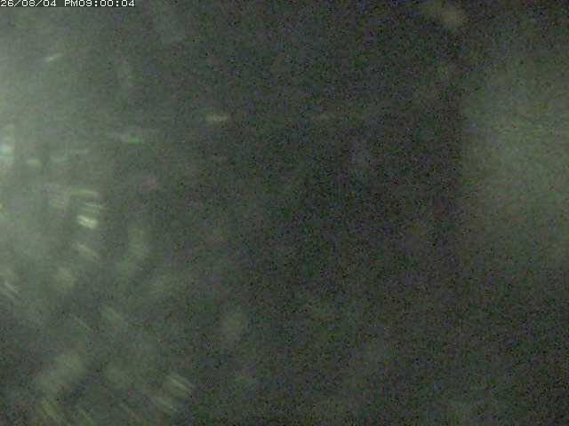 日野川１２2026/08/04 21:00:00