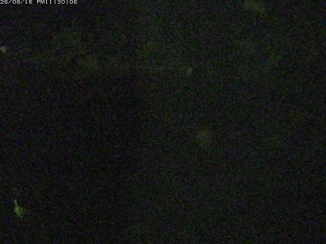 日野川１２2026/08/17 1:10:00