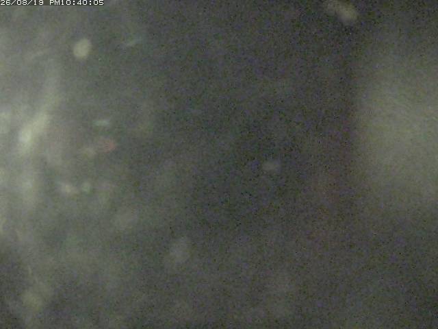 日野川１２2026/08/20 1:00:00