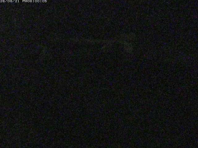 日野川１２2026/08/22 11:20:00