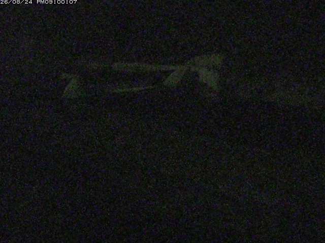 日野川１２2026/08/25 11:40:00