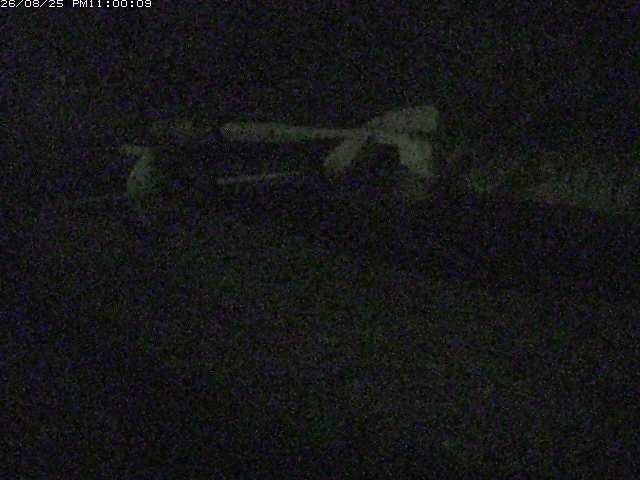 日野川１２2026/08/26 3:30:00