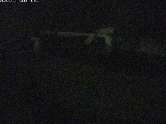 日野川１２2026/08/26 3:30:00