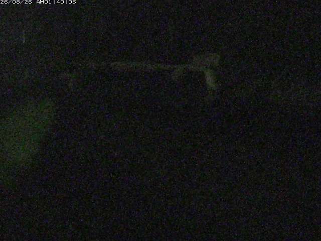 日野川１２2026/08/26 3:30:00