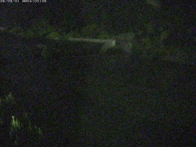 日野川１２2026/09/01 5:30:00