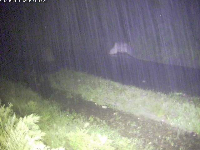 日野川１２2026/09/09 21:20:00