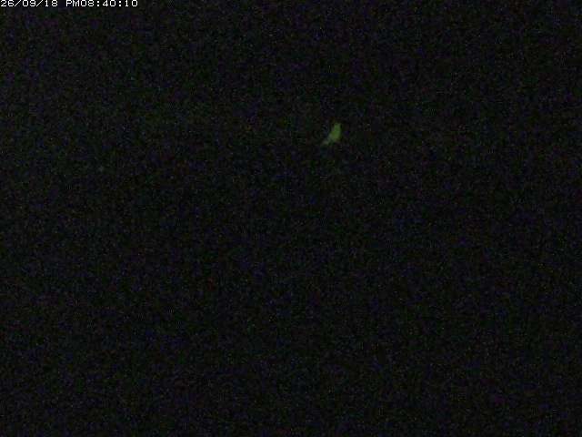日野川１２2026/09/19 0:10:00