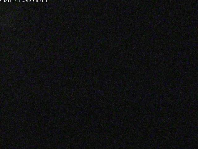日野川１２2026/10/10 11:10:00