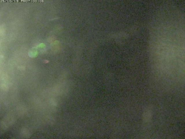 日野川１２2025/10/20 9:30:00