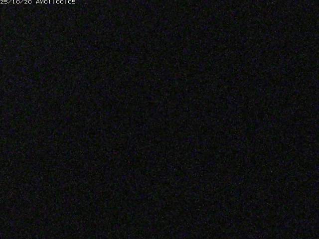 日野川１２2025/10/20 9:30:00