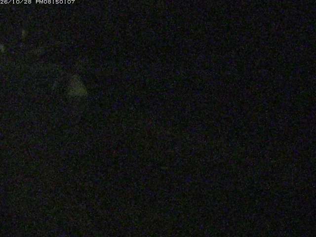 日野川１２2026/10/28 21:20:00