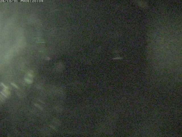 日野川１２2026/10/31 21:00:00