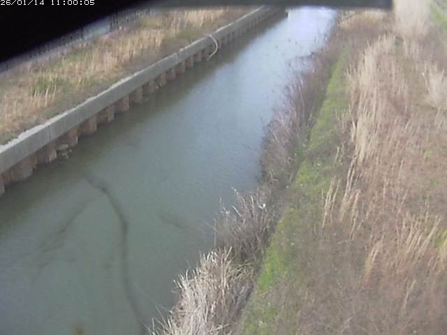 江川１2026/01/14 18:30:00