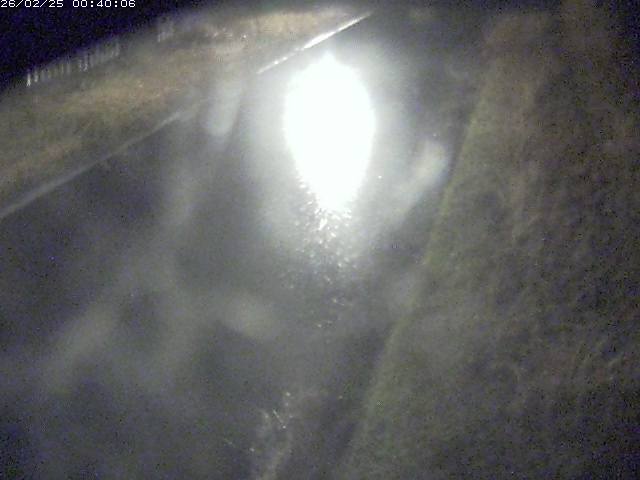 江川１2026/02/25 2:30:00