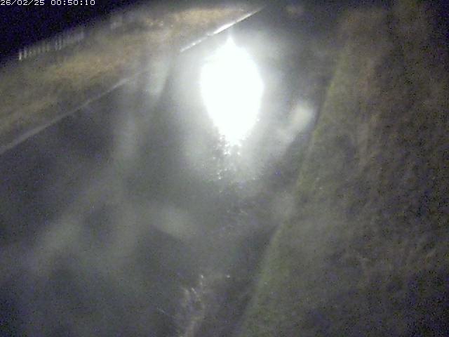 江川１2026/02/25 2:30:00