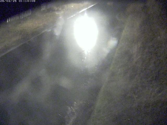 江川１2026/02/25 2:30:00