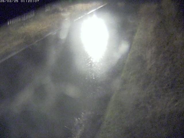 江川１2026/02/25 2:30:00