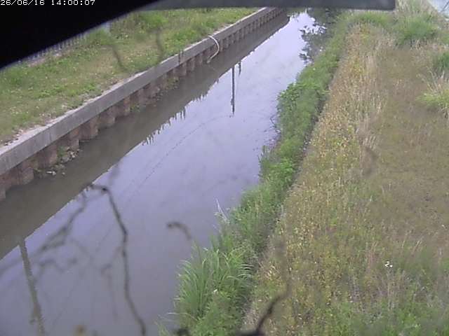 江川１2026/06/17 12:00:00