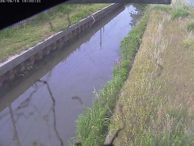 江川１2026/06/17 12:00:00