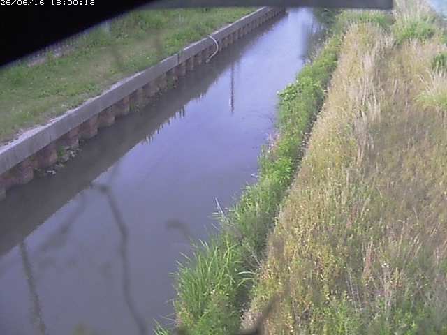 江川１2026/06/17 12:00:00