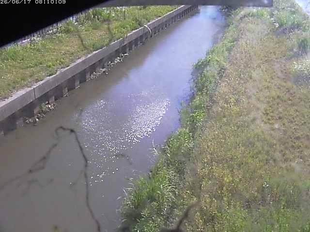 江川１2026/06/17 12:00:00