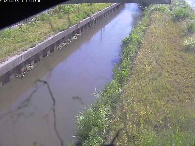 江川１2026/06/17 12:00:00