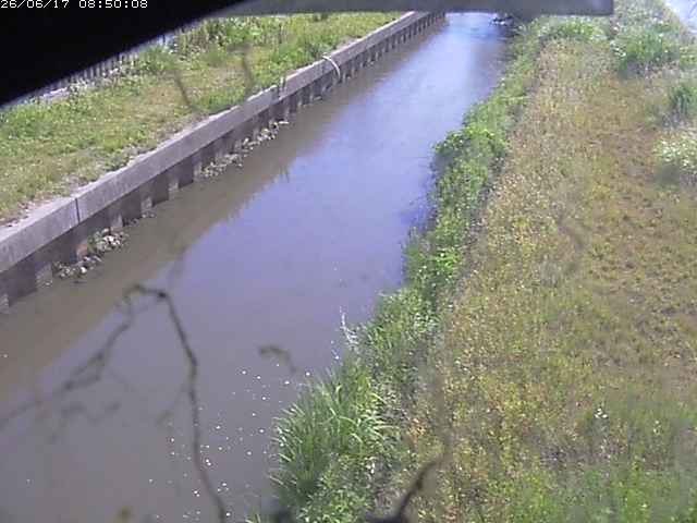 江川１2026/06/17 12:00:00