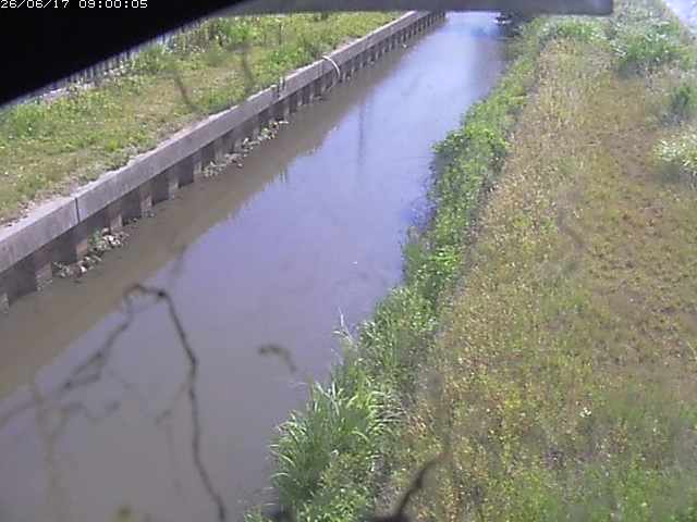 江川１2026/06/17 12:00:00
