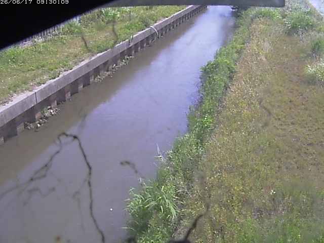 江川１2026/06/17 12:00:00