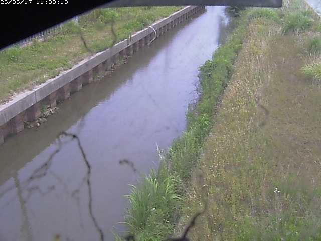 江川１2026/06/17 12:00:00